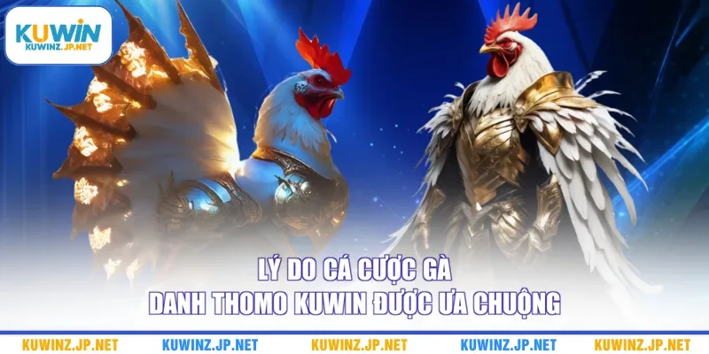 Lý do cá cược gà danh Thomo Kuwin được ưa chuộng
