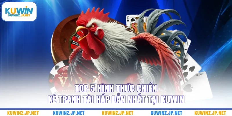 Top 5 hình thức chiến kê tranh tài hấp dẫn nhất tại Kuwin